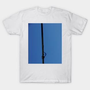 On the Wire - Magpie Springs - Adelaide Hills Wine Region - South Australia T-Shirt